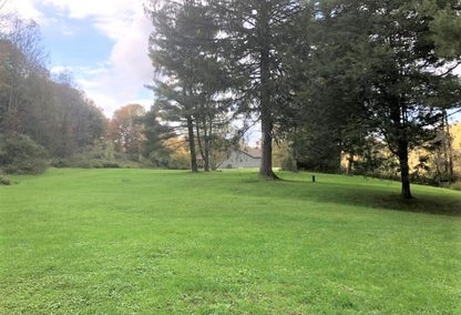 Green field with trees and a house in the background